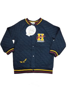 Mikina Harry Potter Bradavice pro kluky outlet